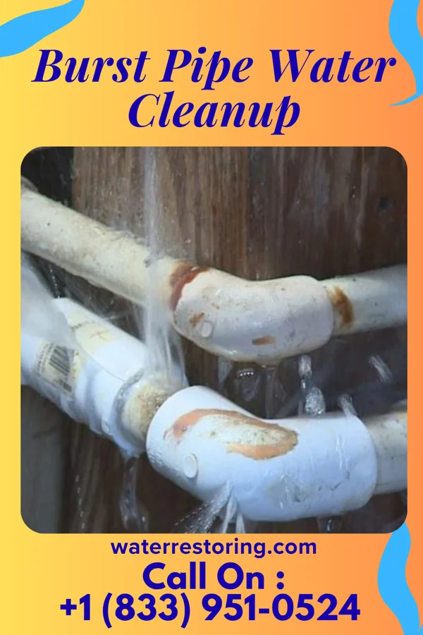 Burst Pipe Water Cleanup in Chapin, IL